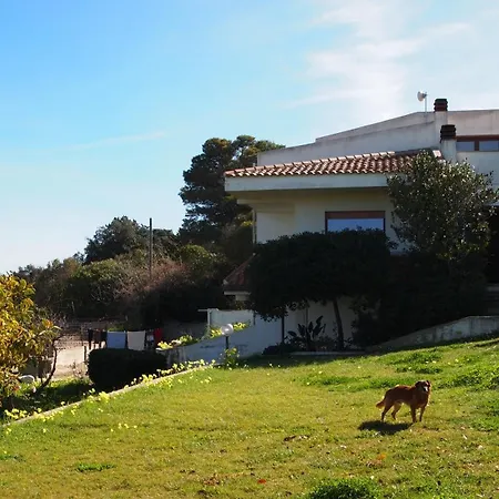 Asinara * Sassari