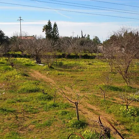 Asinara 度假居