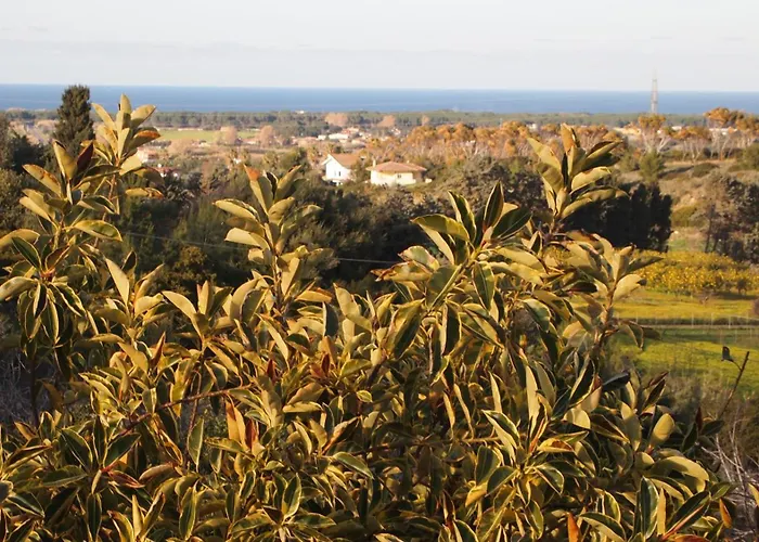 Tatil Evi Asinara Sassari